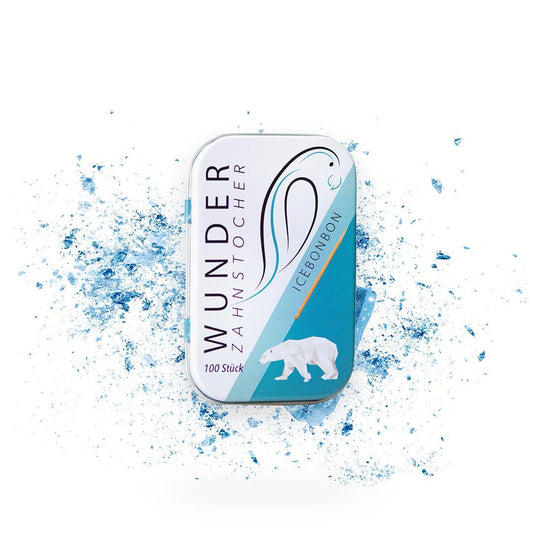 Wunder Zahnstocher Icebonbon in Metalldose – 100 aromatisierte Sticks